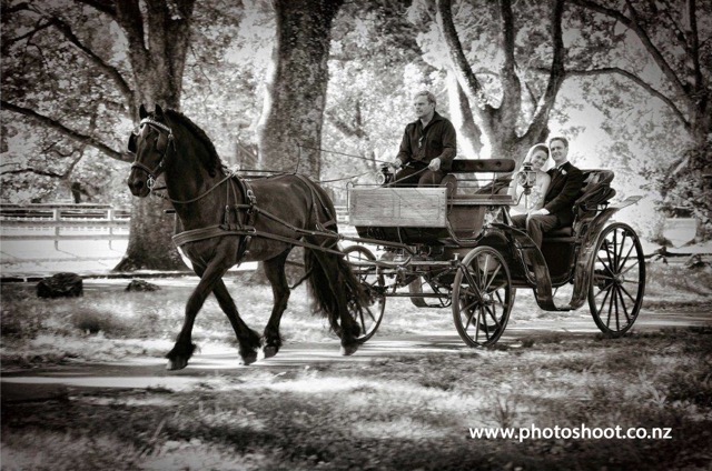 Photo Credit: photoshoot.co.nz